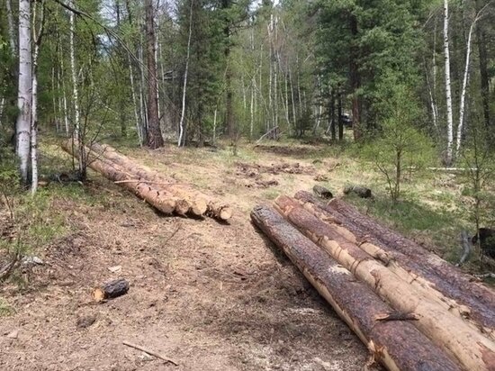     фото пресс-службы Минприроды Забайкальского края