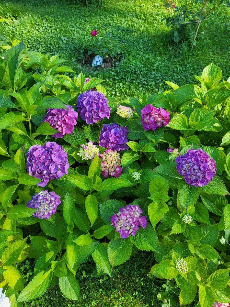 Фотографии Ларисы Каневской