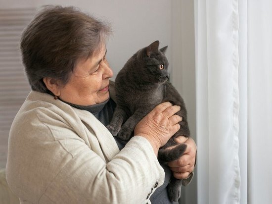     Фото: ru.freepik.com