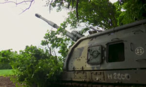    Фото: скриншот видео Минобороны России Гульназ Астахова