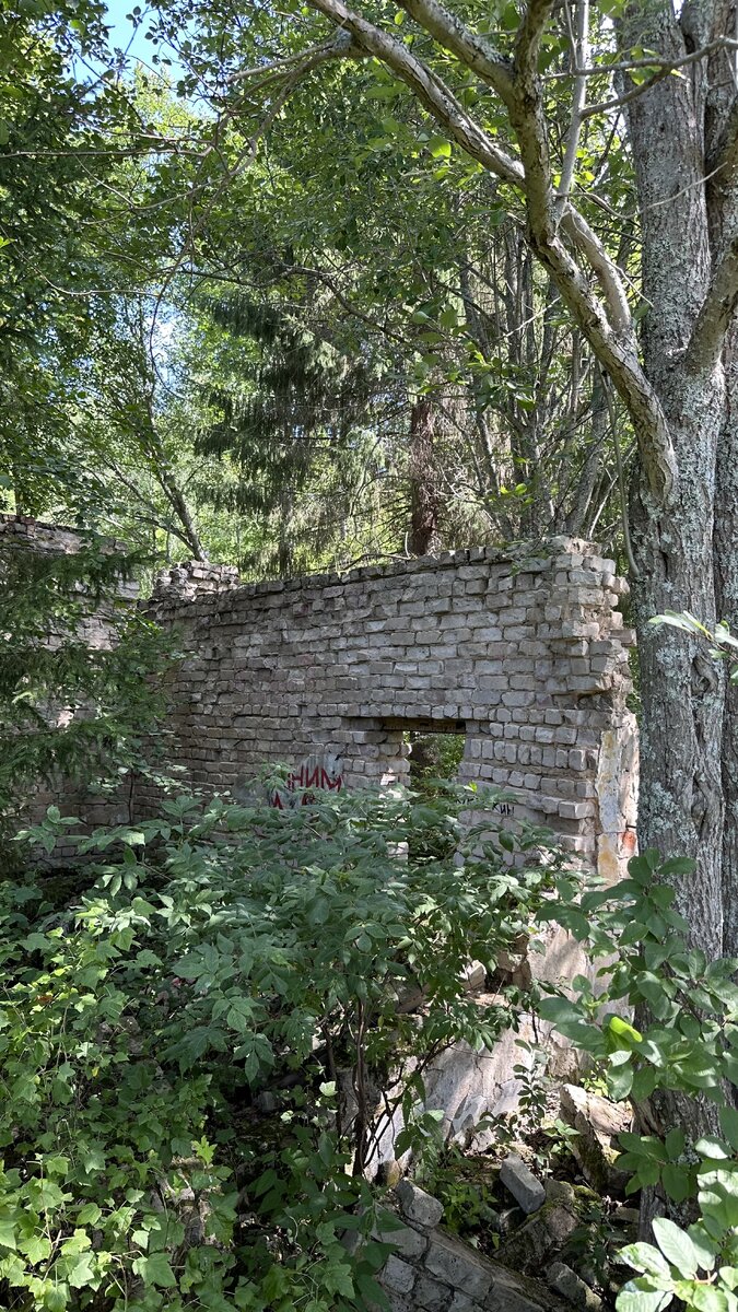 Развалины лагеря Створ. Фото из личного архива. 