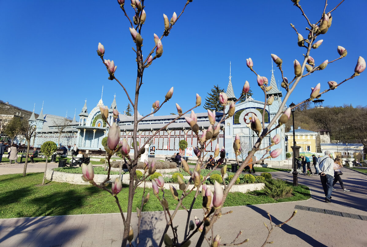 Пятигорск парк цветник