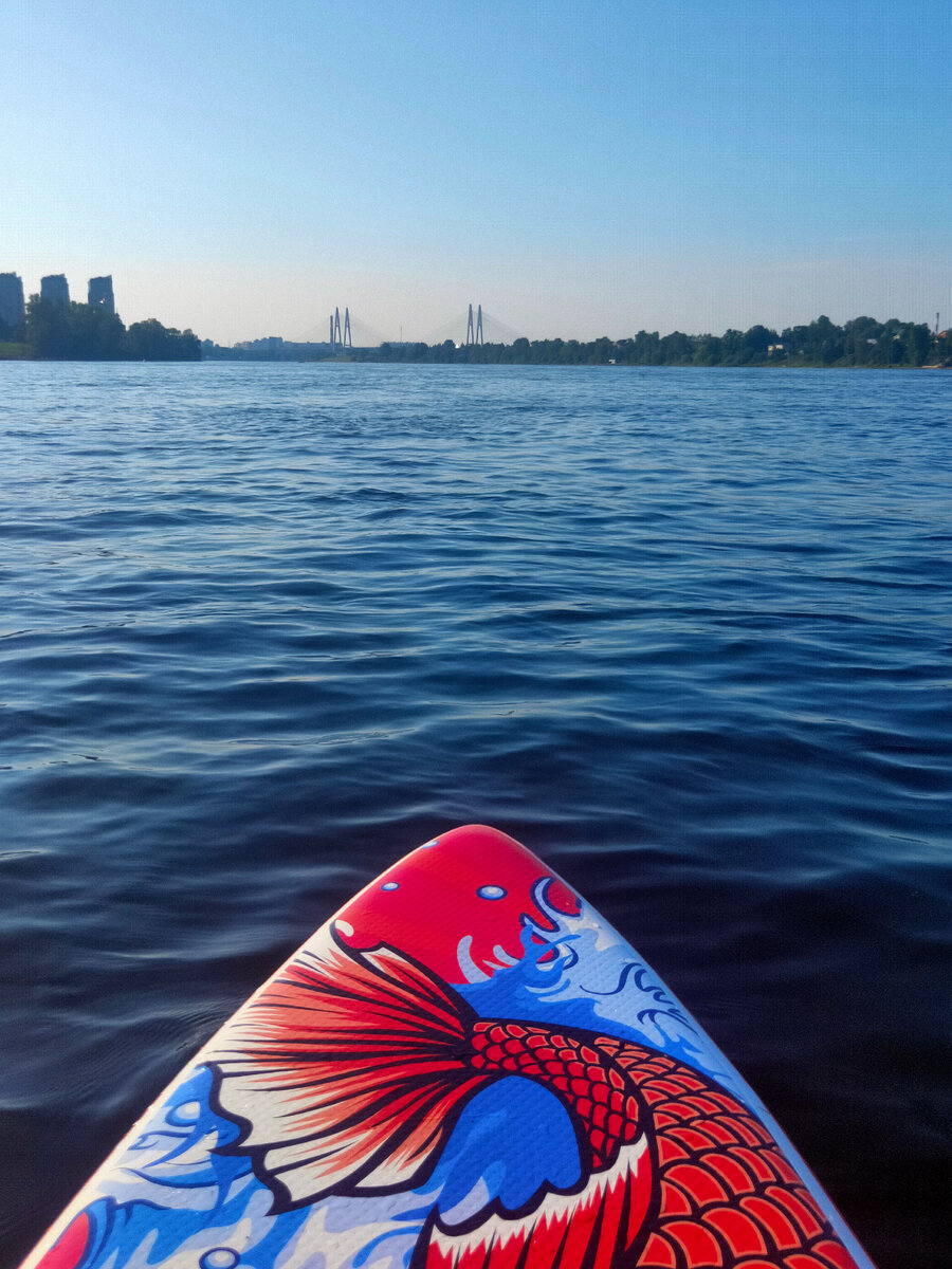 Плыву по течению в сторону Большого Обуховского моста