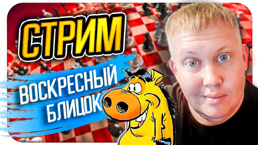 Играю турнир 