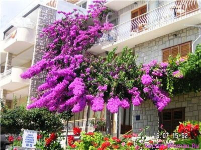 фото не мое