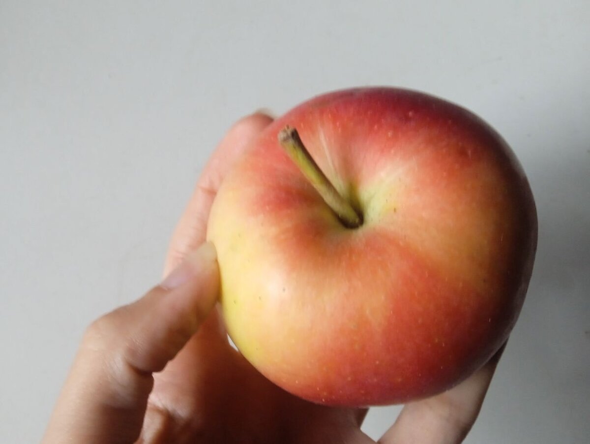 Этот плод - символ изобилия!