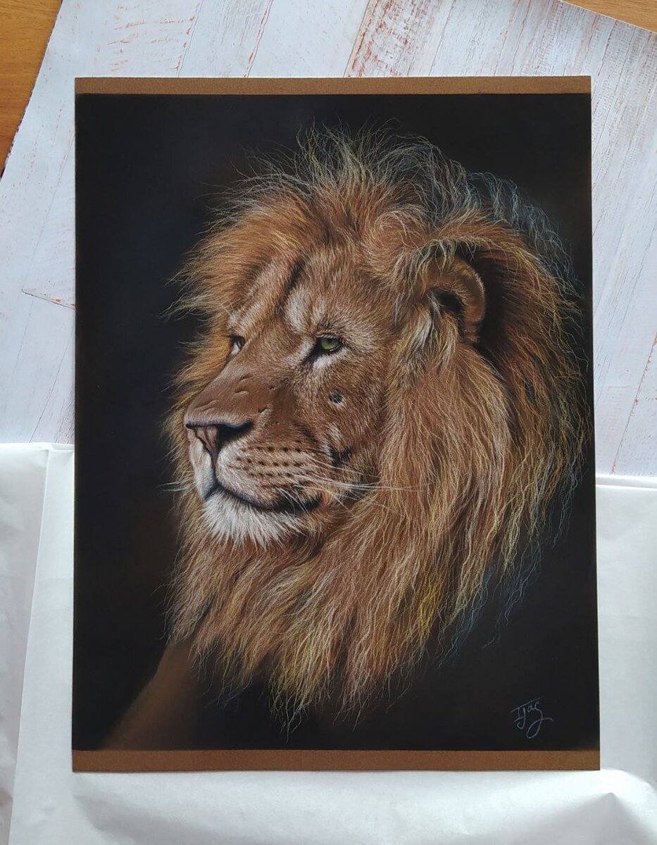 Лев. Пастель. 43х32,4 см