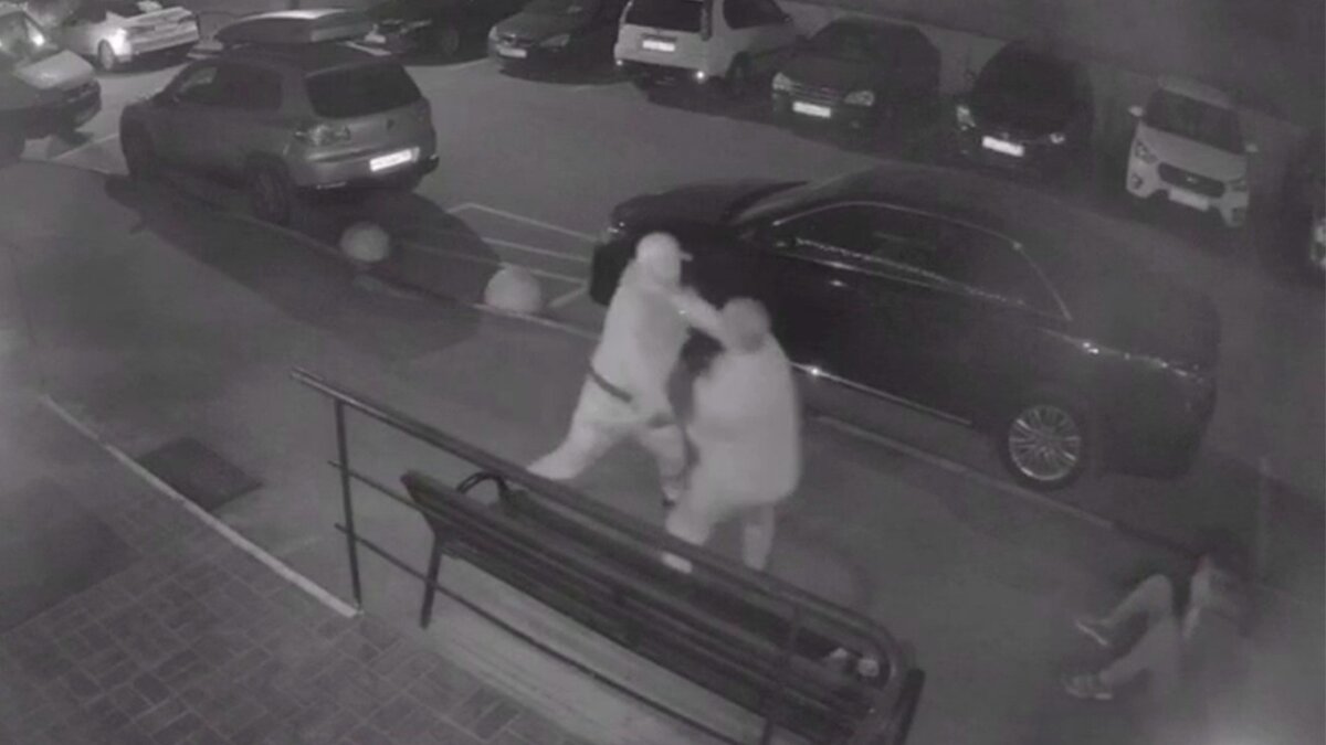 скриншот с видеозаписи