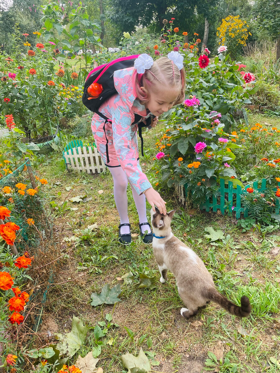И пусть весь мир подождет, когда на пути в школу встречаются котики)). На фото моя дочка