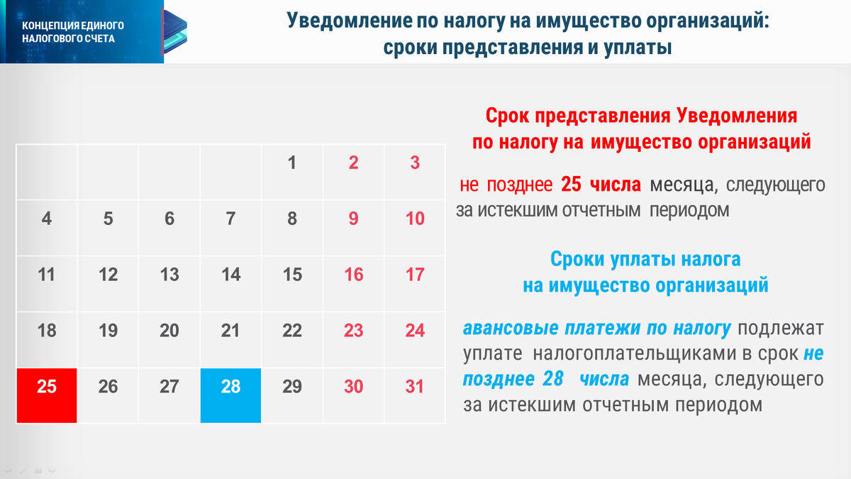 Срок уплаты транспортного налога для организаций