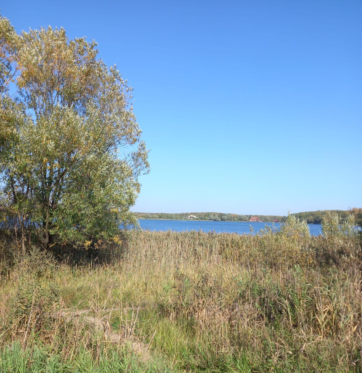 Фото автора.