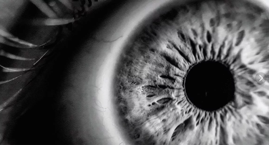 Источник scfh.ru