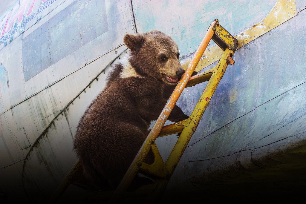 © Фото из архива Андрея Иванова