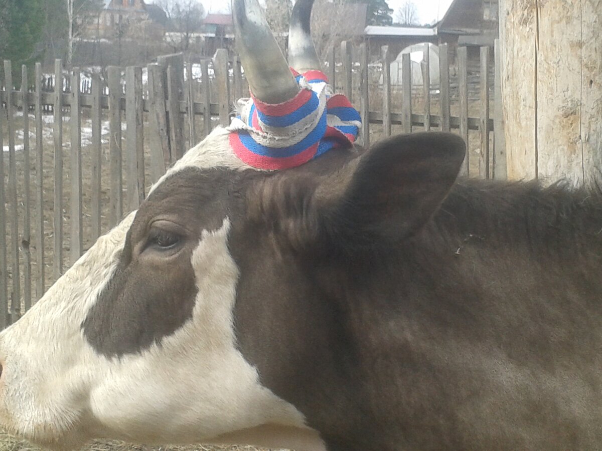 В чём суть мироздания?