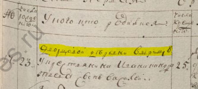 «Дворцовой деревни Вырицы». Из метрической книги 1796 года. Запись о рождении сына Василия у крестьянина Ивана Кондратьева