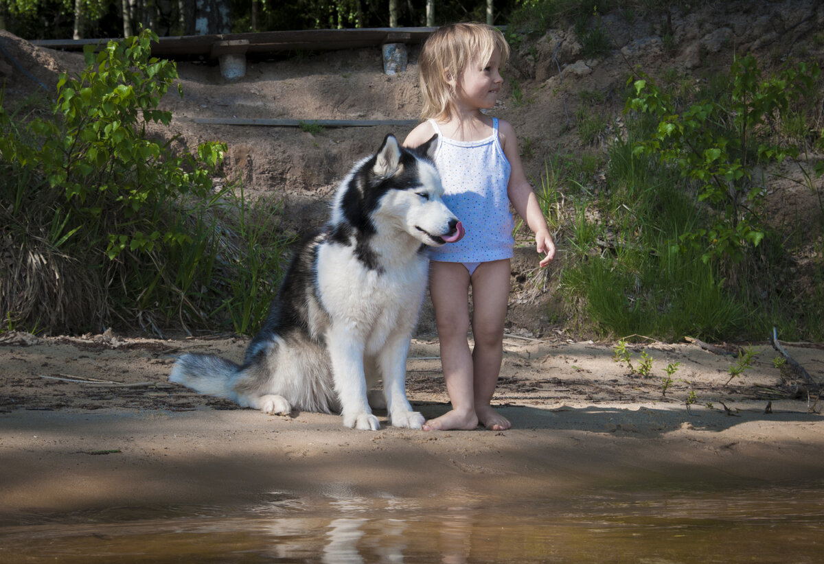 Каждая прогулка с детьми и с собаками теперь заканчивается в реке | In Dogs  we Trust | Дзен