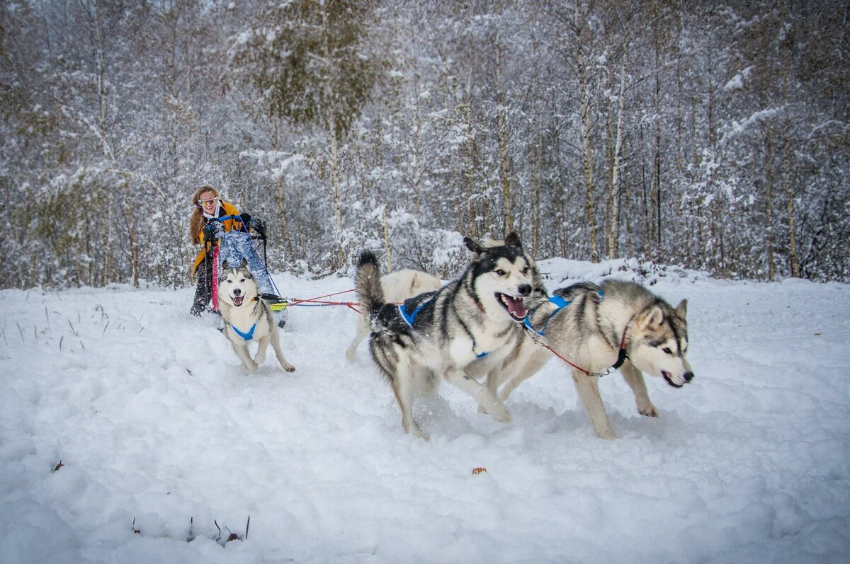 а потом - все закрутилось!