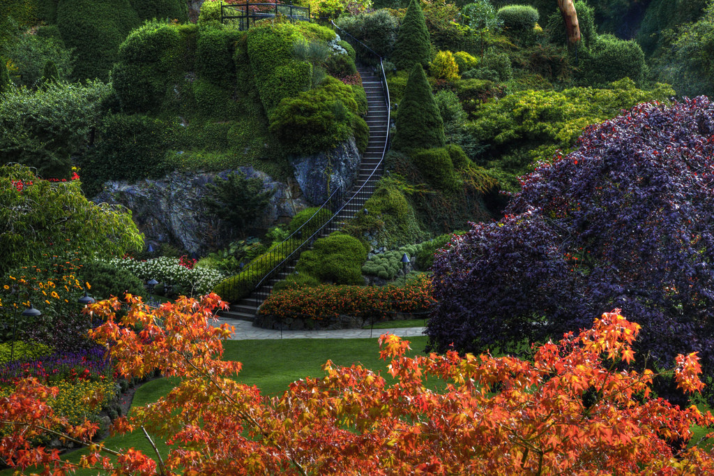 Фото взято с сайта gifok.net