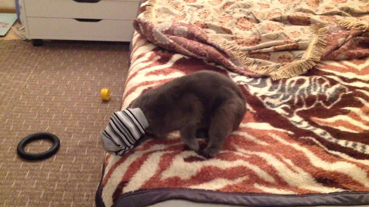 фото из интернета