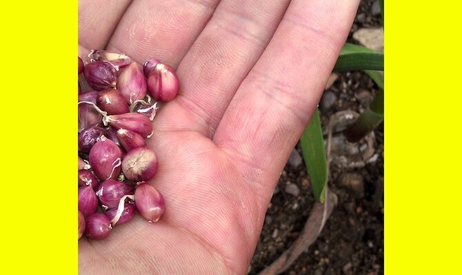 Фото взято с яндекс картинок с целью иллюстрации