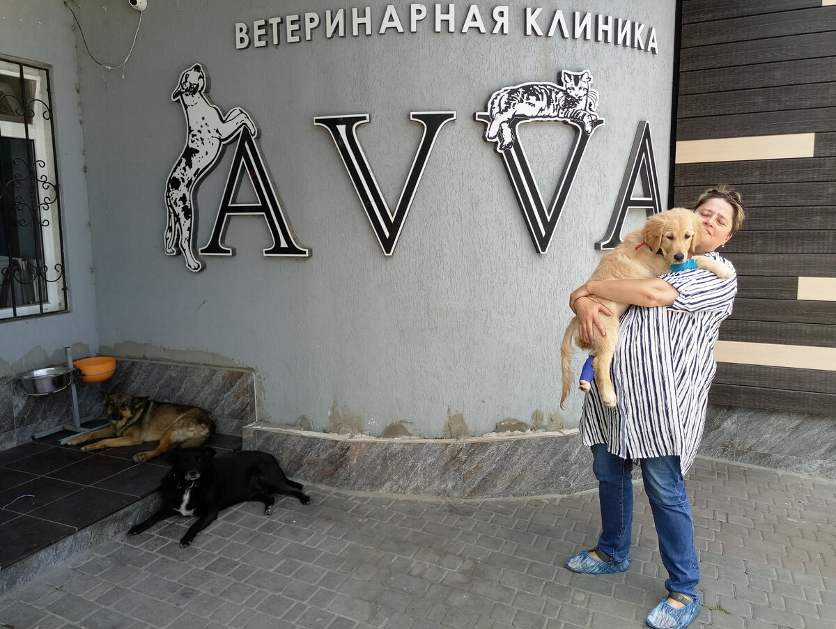 Клиника Авва в г. Симферополе. Ляля после процедуры.