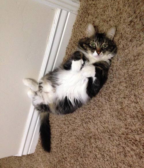 фото с Яндекс картинки