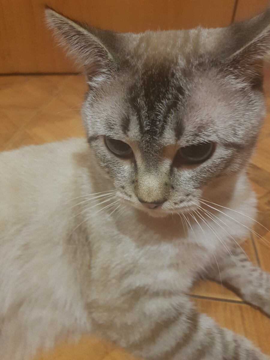 Отдыхаем)🥰