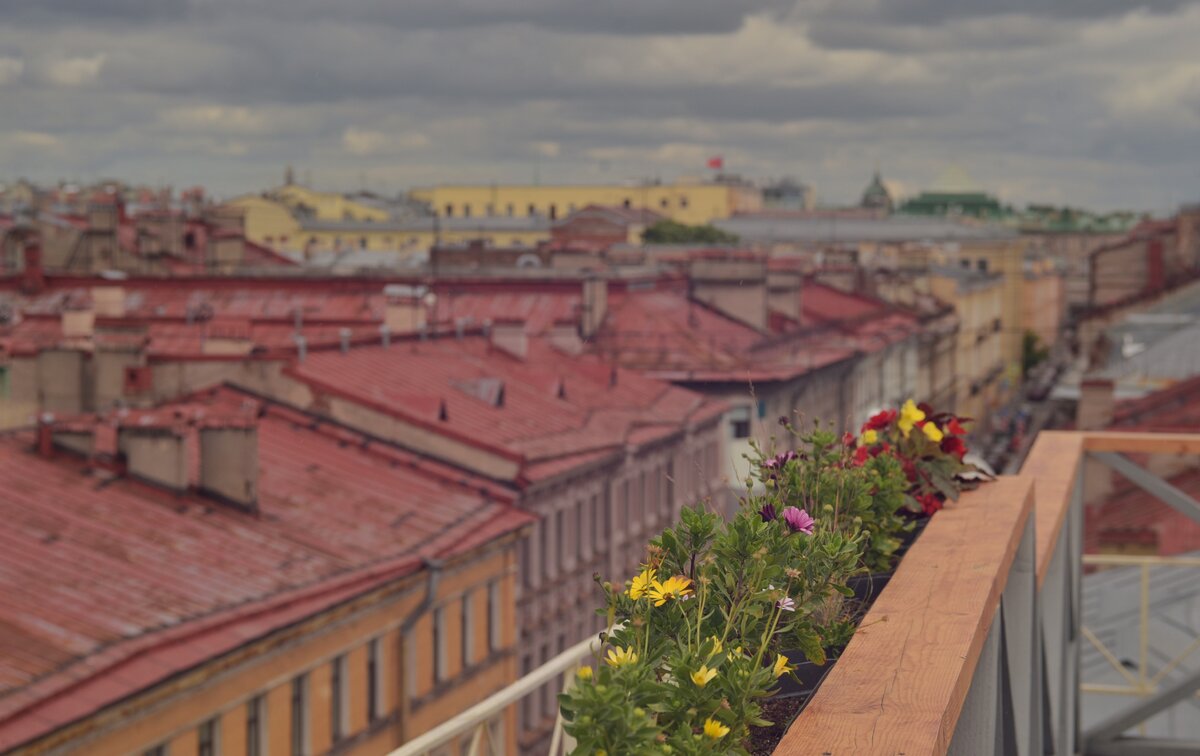 Душа спб. Крыши Питера зеленые. Крыши Питера красные. Крыши Питера фон. Вазы на крышах старых домов.