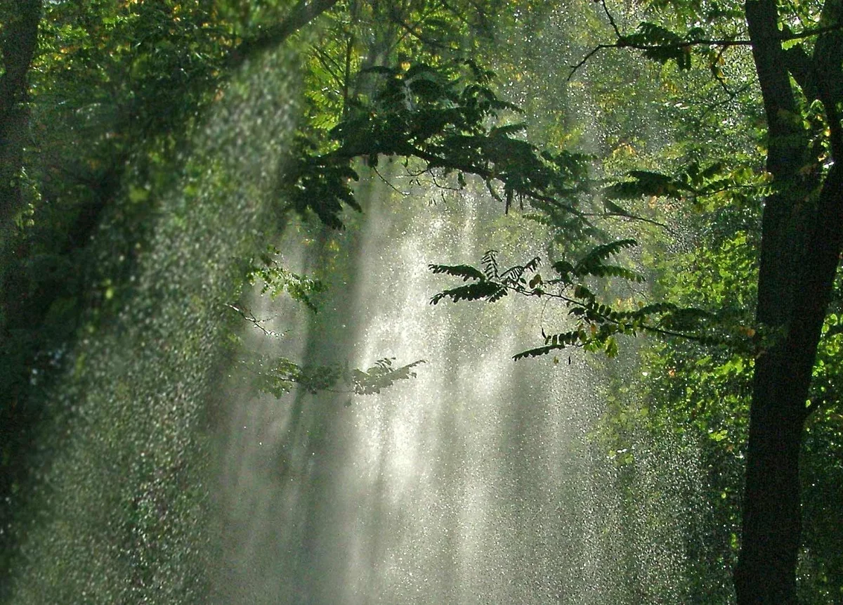 Далекий мокрый. Далекий мокрый. Женщина с мокрыми волосами. Мрачная дорога. Мужчина под дождем.