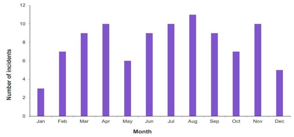 Распределение по месяцам зарегистрированных несчастных случаев через веб-сайт ДАН. 
