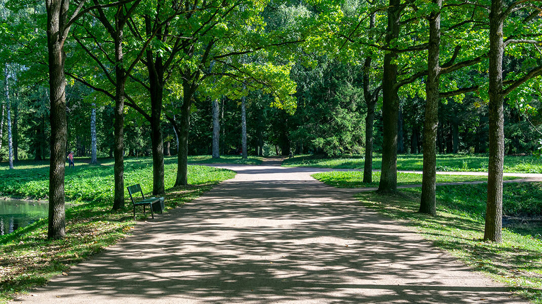 Восхитительный Павловский парк