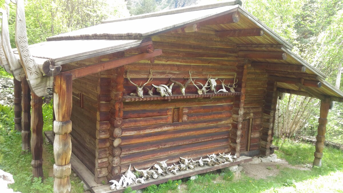 Останки жертвенных животных