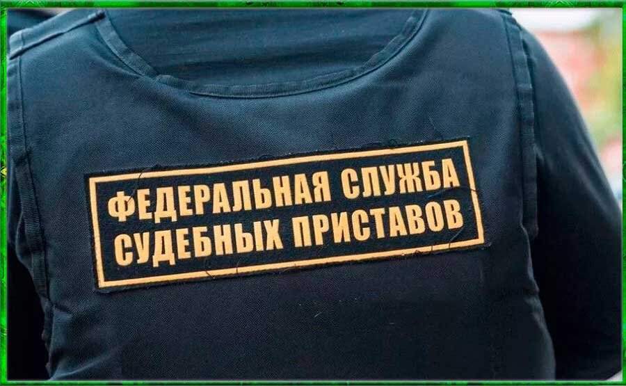 К вам пришли!