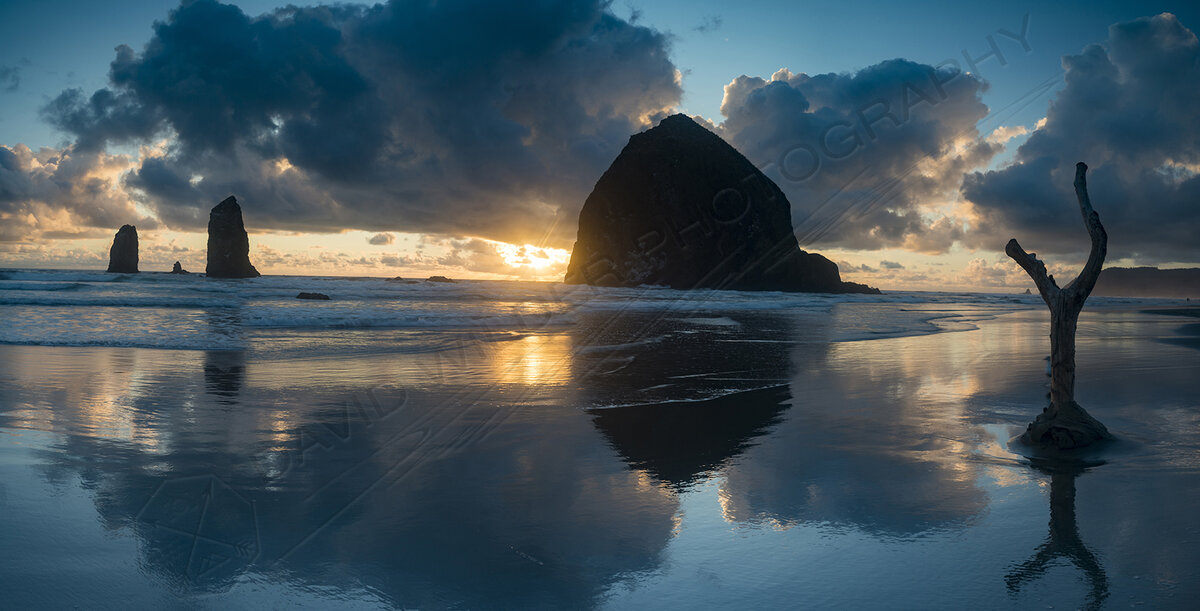 Фото взяты с сайта http://davidwilder.ca/