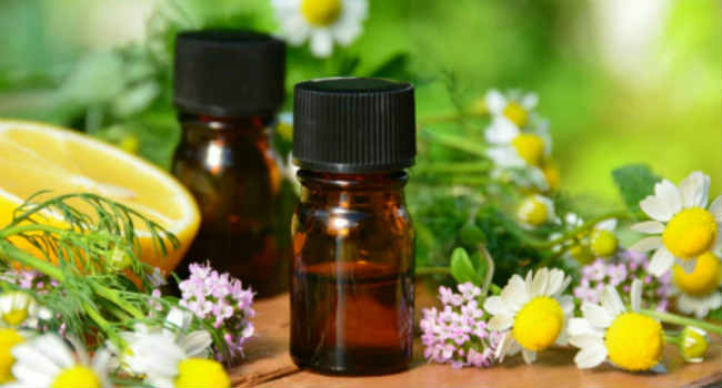 Фото из интернета