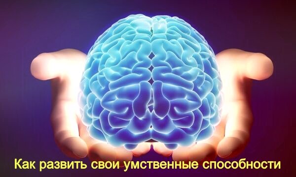 Как развить свои умственные способности