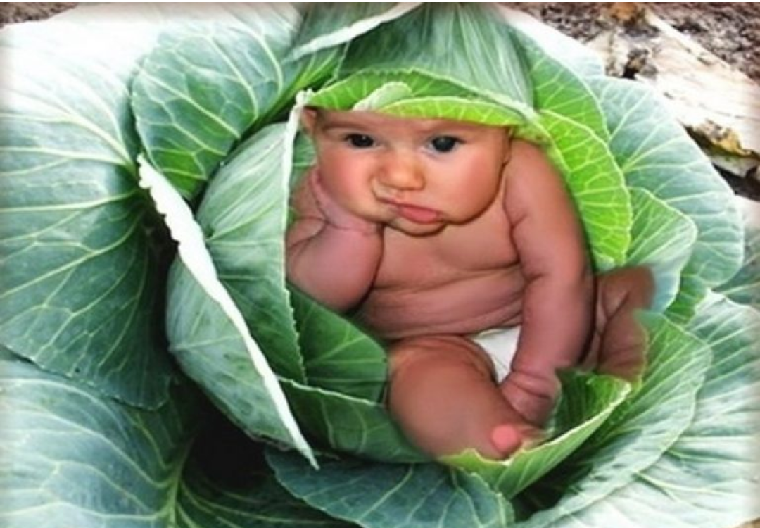 И скоро меня найдут?...