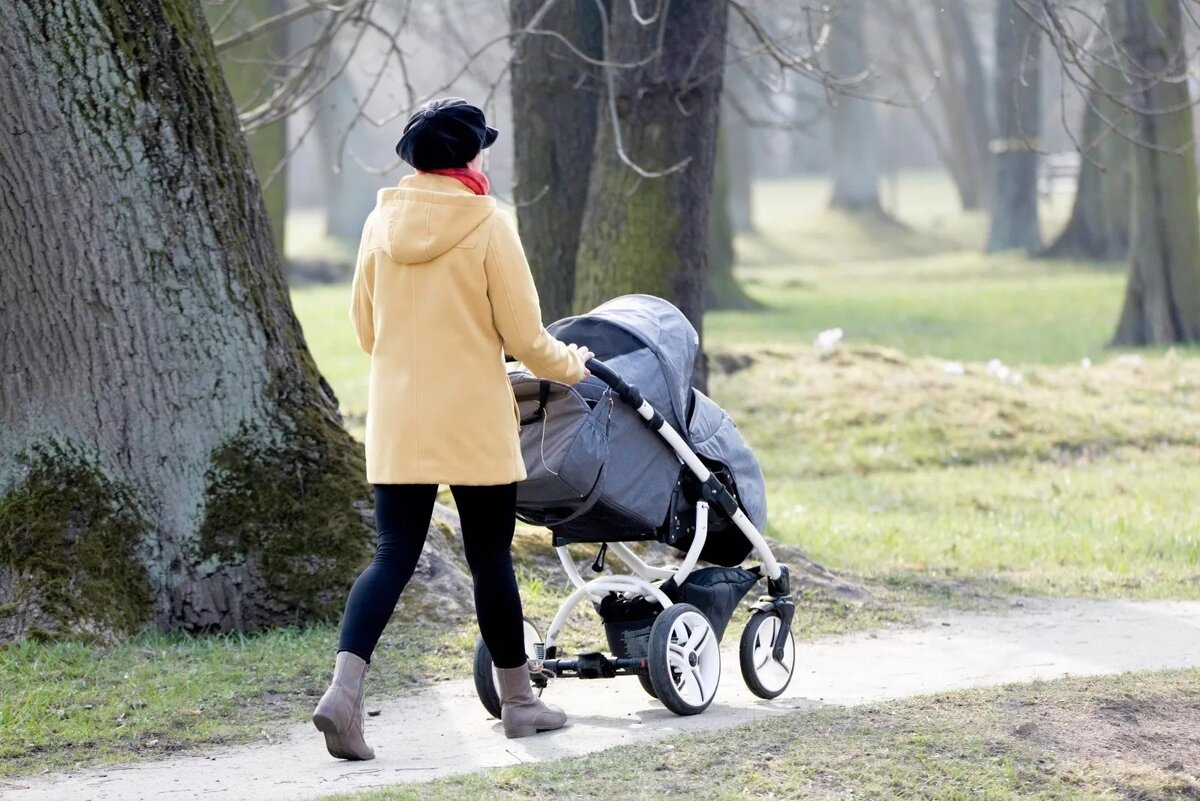 Фото из свободных источников