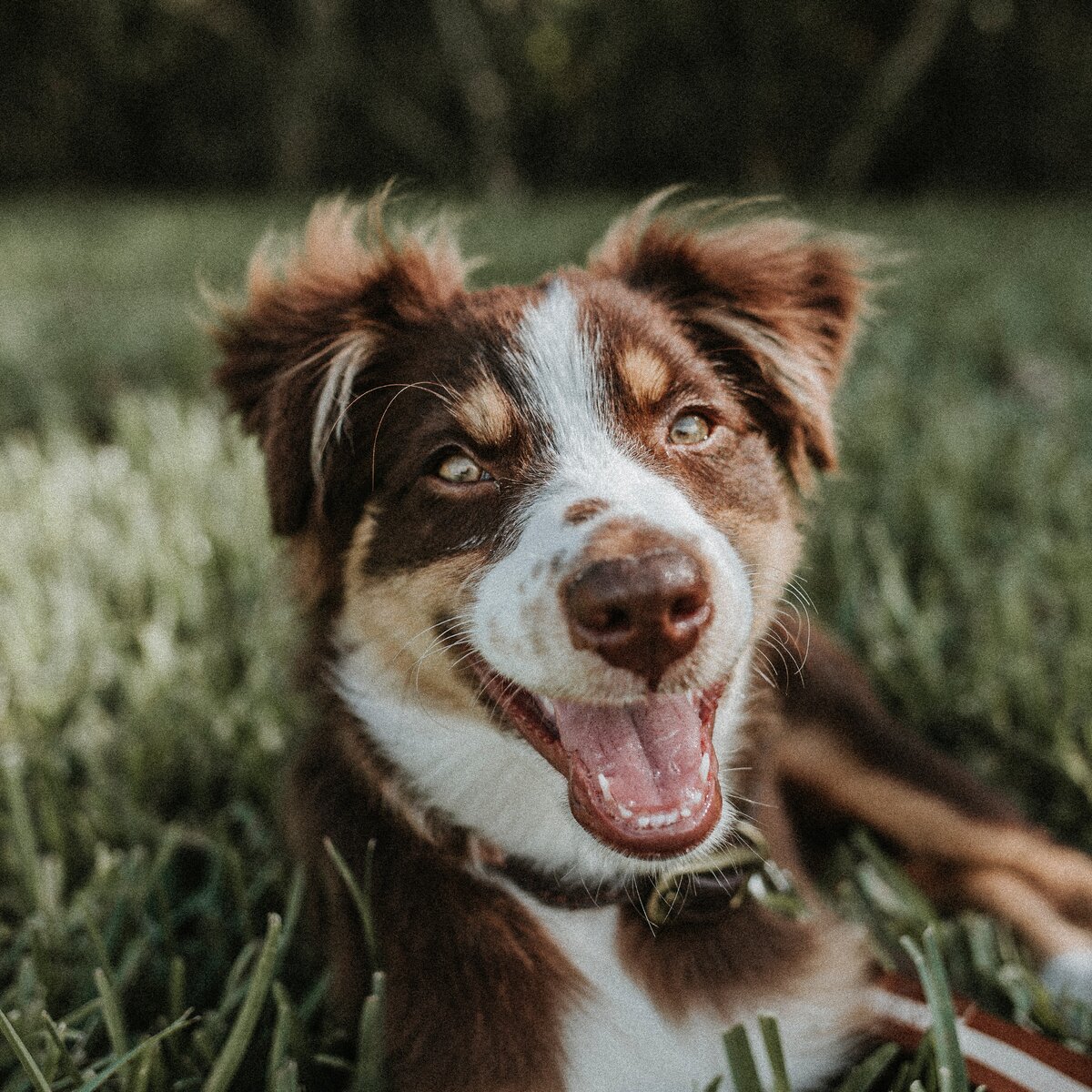 https://unsplash.com/photos/sXU6BeWoZqI