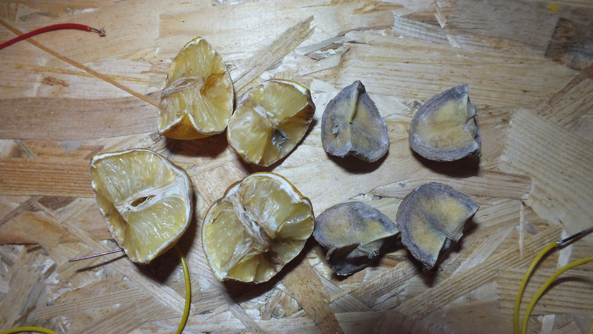 Картошка и лимон после эксперимента