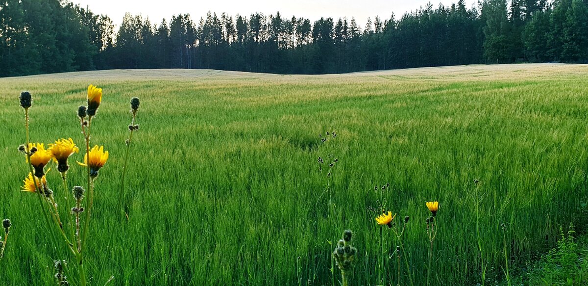 Фото сделано автором статьи. 