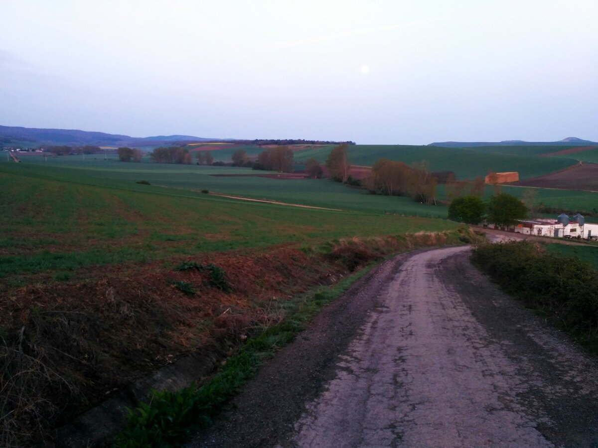 Краснота вокруг отодвигала усталость