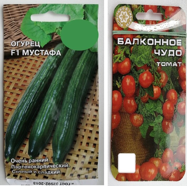 Семена для выращивания на балконе