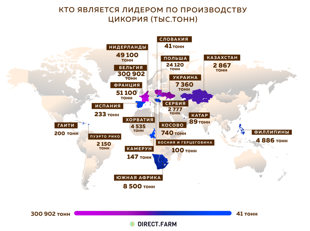 Страны Лидеры по производству чая. Страны Лидеры по производству цикория. Страны Лидеры в производстве кофе. Страны Лидеры по производству цикория в России. Страна крупнейший производитель кофе