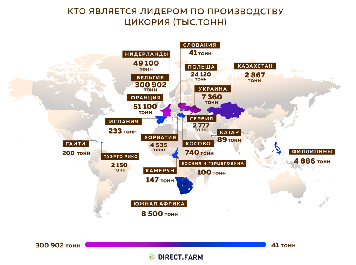 Какая страна является лидером. Страны Лидеры по производству цикория. Страны по производству чая. Страны Лидеры в производстве кофе. Страны Лидеры по производству чая.