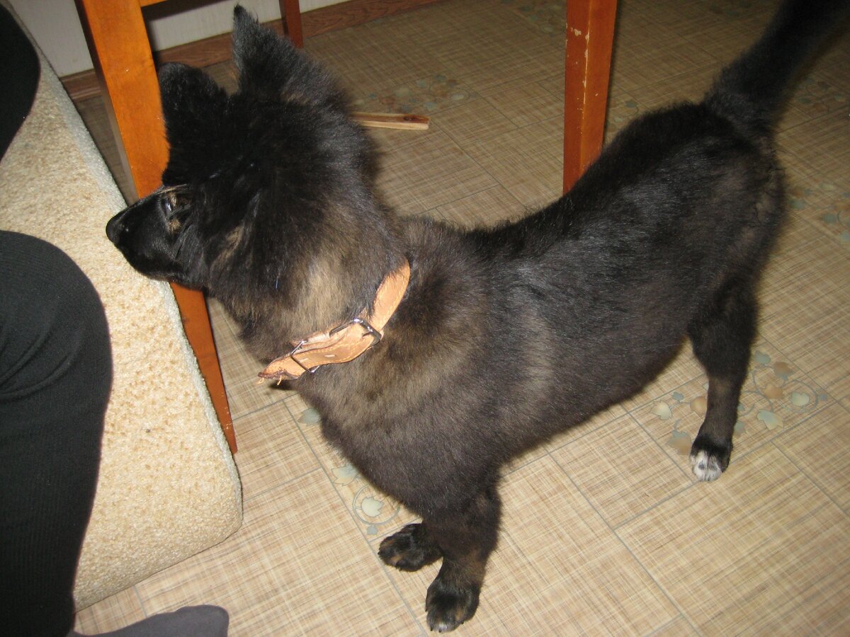 Сьюзи спустя 3 месяца