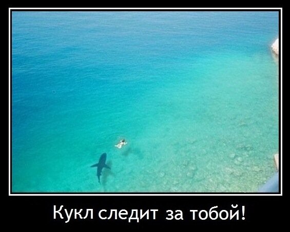 фотоматериал из открытого доступа