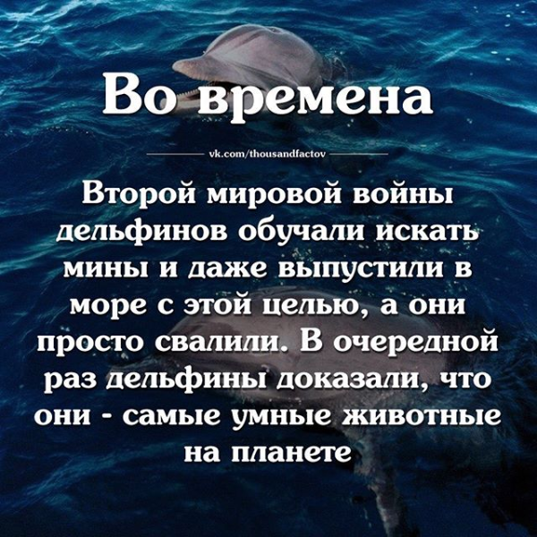 Ну и правильно сделали.