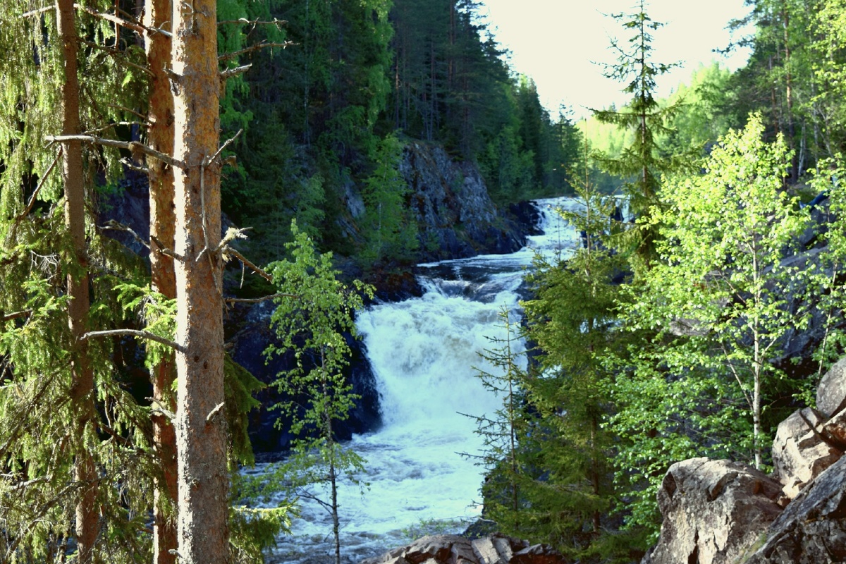 Красавец Кивач