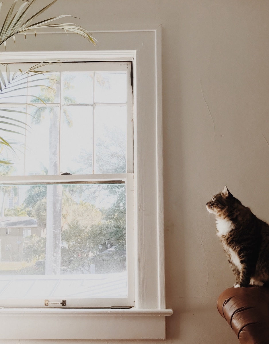 Фото Стефани Харви (Photo by Stephanie Harvey on Unsplash)